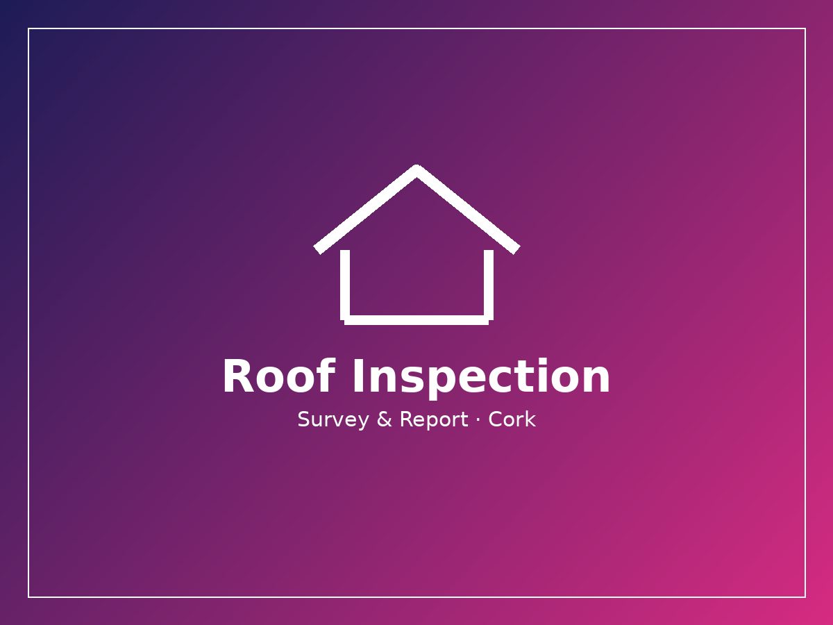 Roofer carrying out a roof inspection and condition survey in Cork